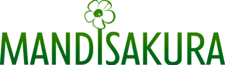 Mandisakura Massages
